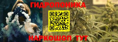 индика Ипатово