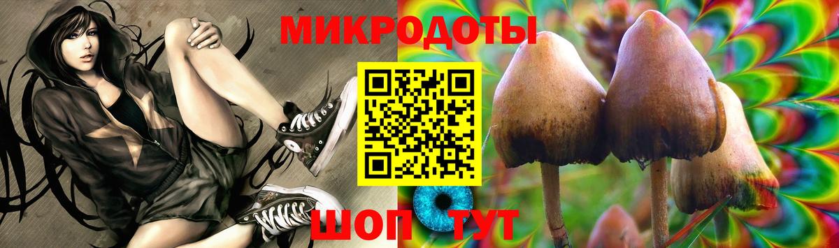 Галлюциногенные грибы ЛСД Шахты